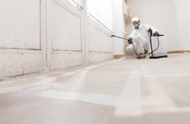 24/7 Emergency Commercial Mold Remediation experts in Sayreville, NJ
