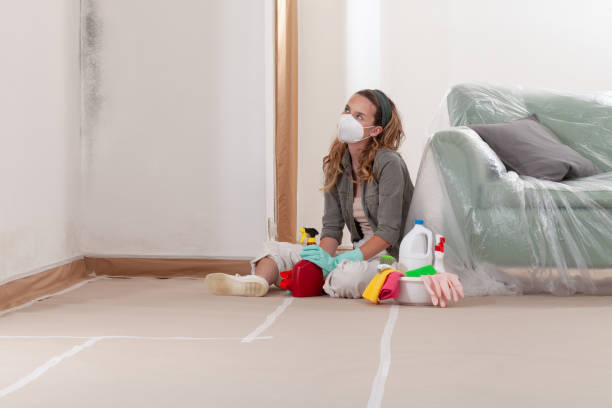 Reliable Commercial Mold Remediation contractor in Sayreville, NJ by Mold Remediation HQ